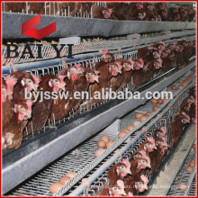 Electric Galvanized Welded Wire Chicken Cages with using life more than 15 years